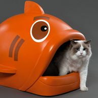 Cat walking out of the mouth of an orange fish cat bed.