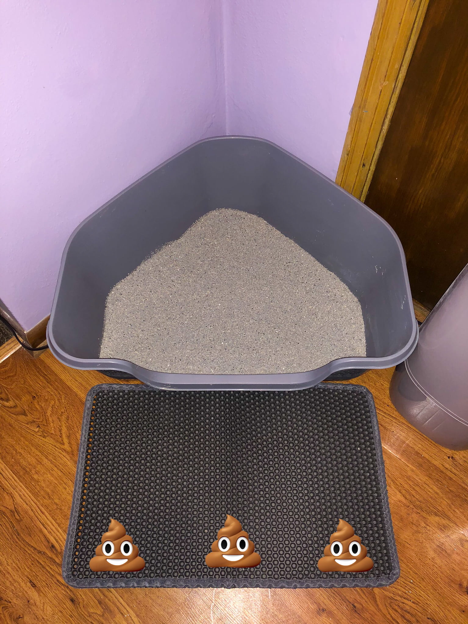 Poop emojis on the mat outside the litter box.