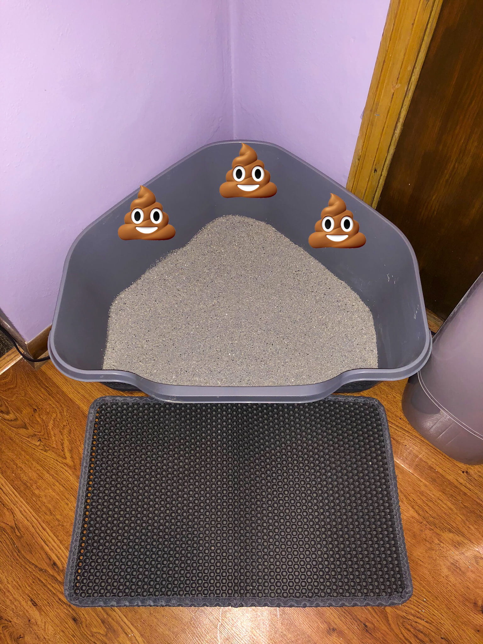 Poop emojis on the sides of the litter box.