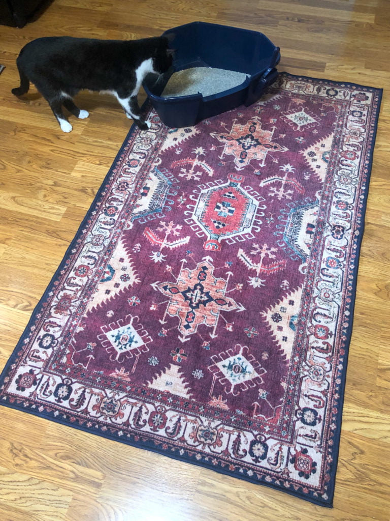 A navy blue corner litter box on a washable rug with tuxedo cat named Dave looking into it.