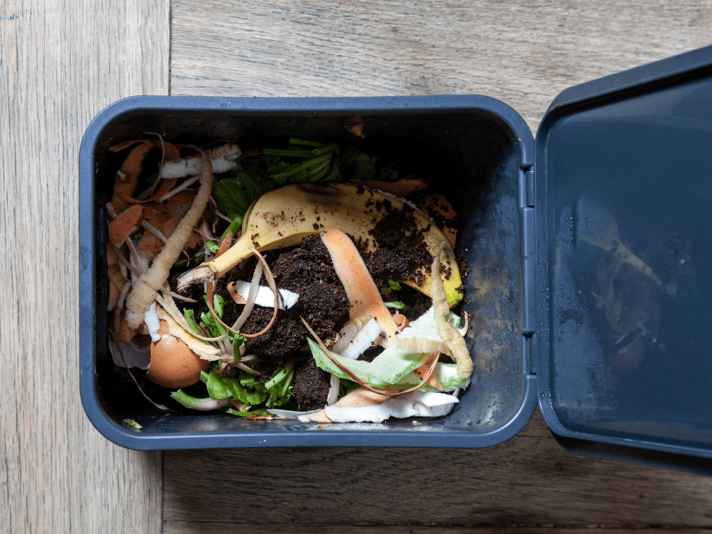 Compost bin with food scraps inside